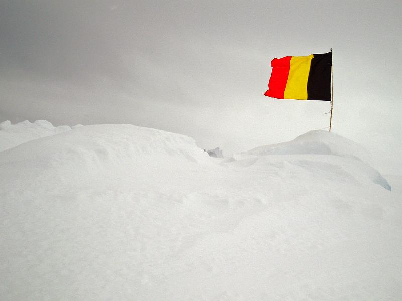 Belgian flag 1.JPG - OLYMPUS DIGITAL CAMERA